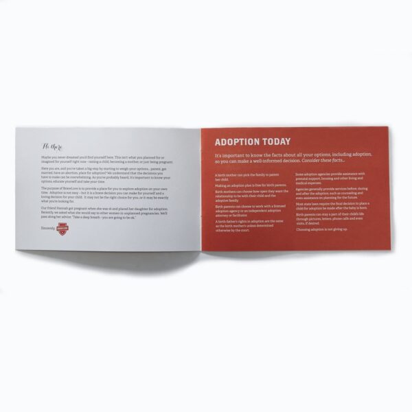 Pamphlet open to pages about adoption; the left page contains a letter, and the right page includes information and facts about adoption from the General Adoption Brochure - English Version.