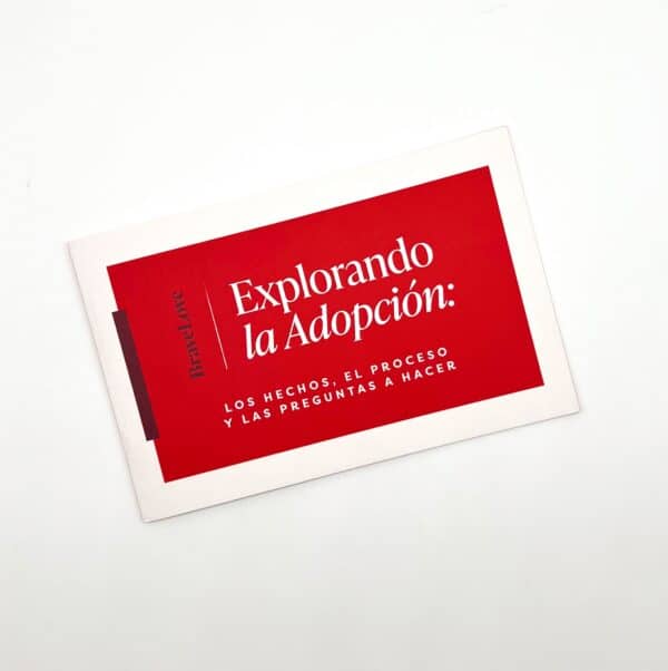 General Adoption Brochure - Spanish Version