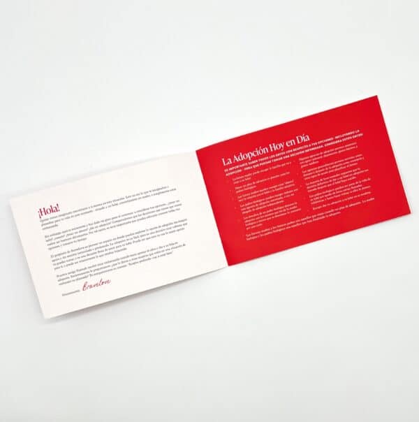 General Adoption Brochure - Spanish Version - Image 2