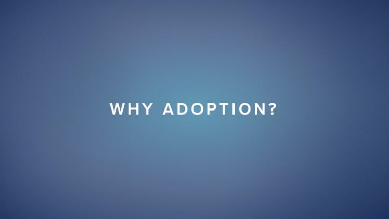 Why Adoption? Part 5