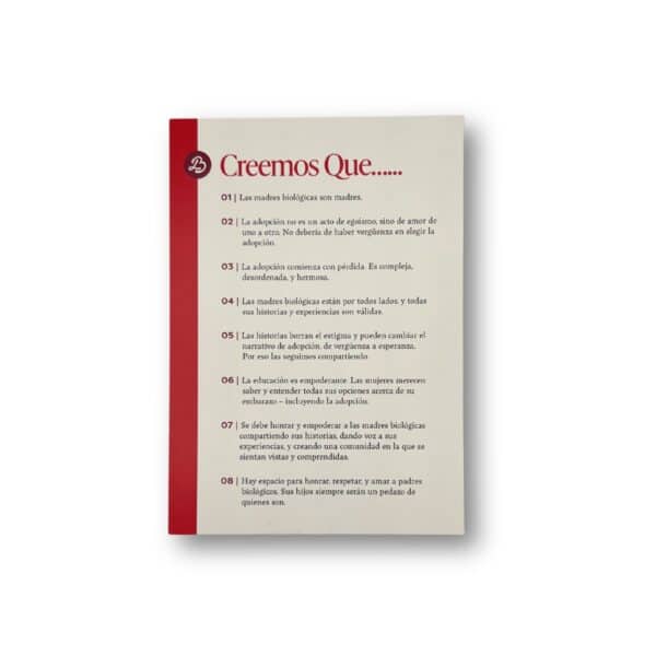 Manifesto Cards - Spanish Version